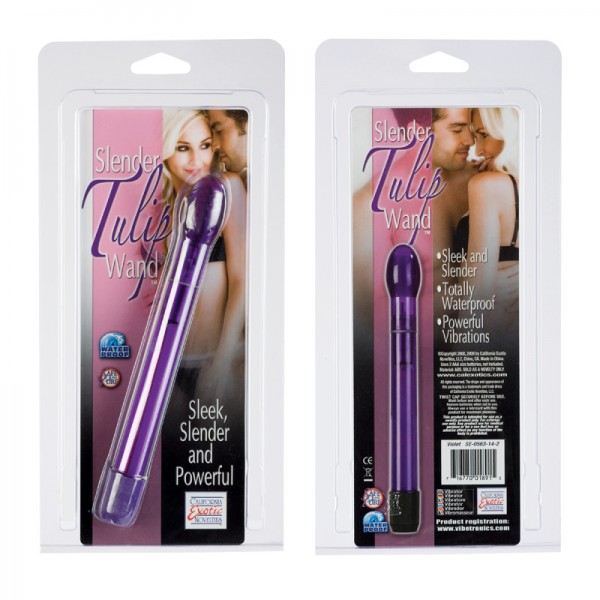 Slender Tulip Wand-violet