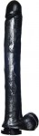 Exxxtreme Dong W/suction Black 16